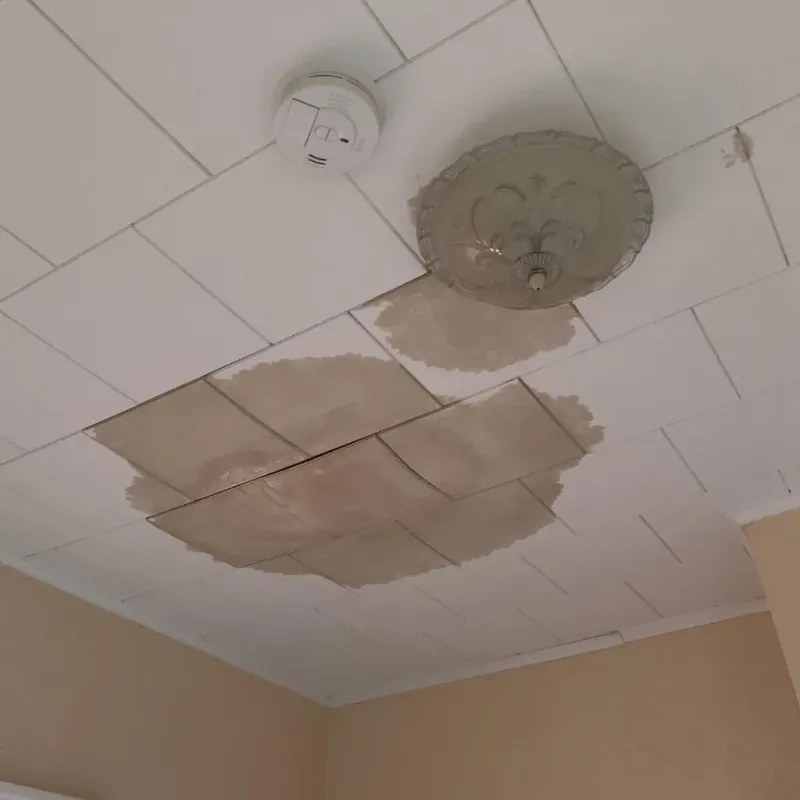 Ceiling Water Damage Repair in High Bridge, NJ