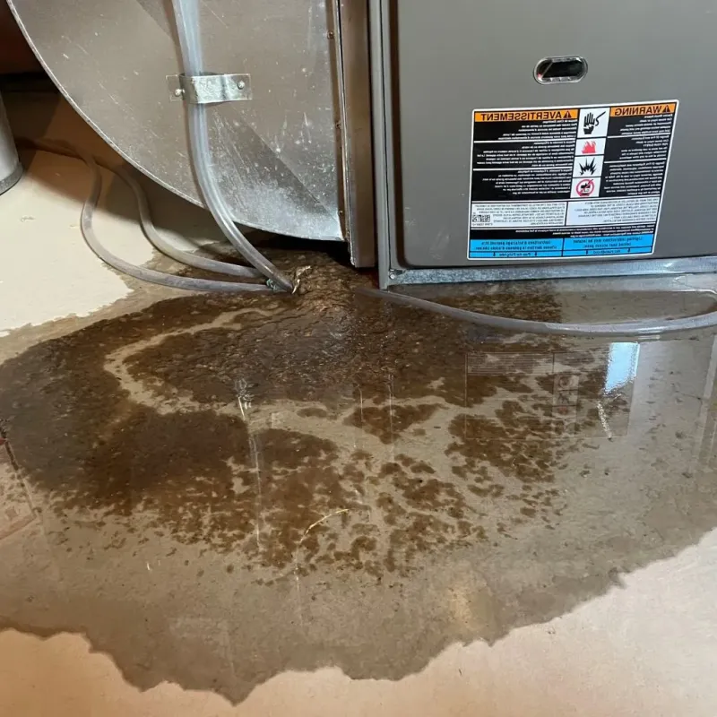 Pipe Burst and Leak Restoration in High Bridge, NJ