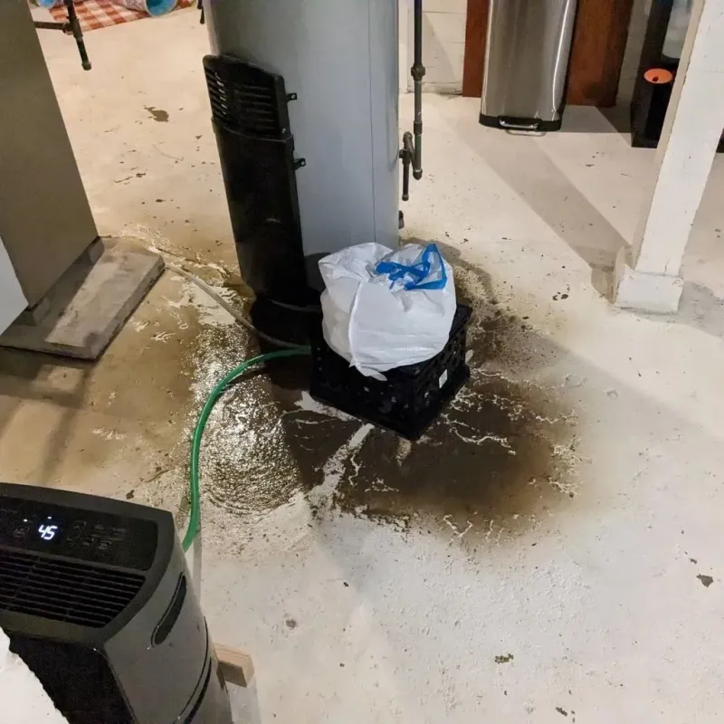 Sewage Backup Cleanup Service in High Bridge, NJ